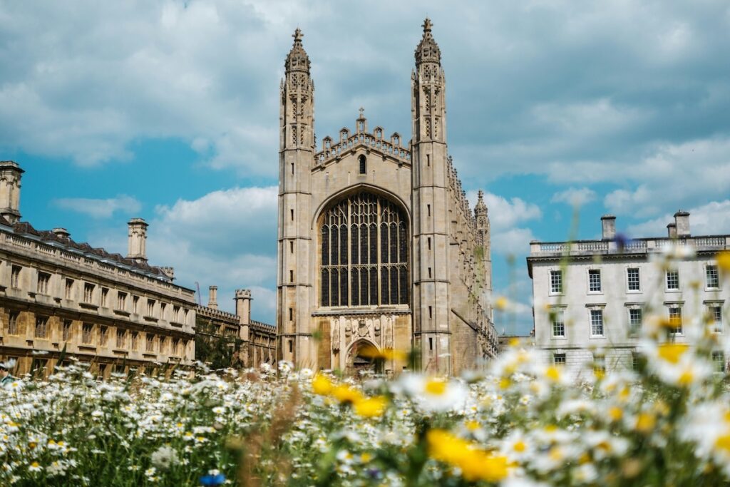 cambridge university building with flowers in the foreground