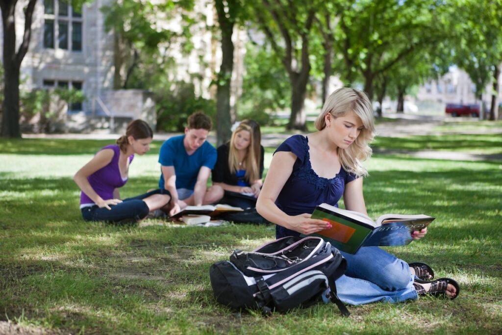 students studying on campus lawn
