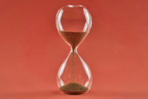 Andrej Lisakov for Unsplash+